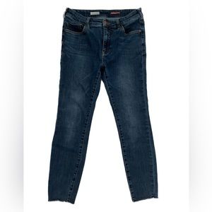 ANTHROPOLOGIE Pilcro 10” High Rise Skinny Jean